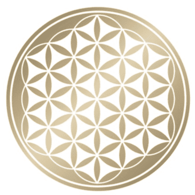 JackyChen八字命理諮詢