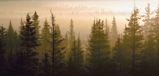 JackyChen八字命理諮詢